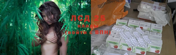 СК Магас