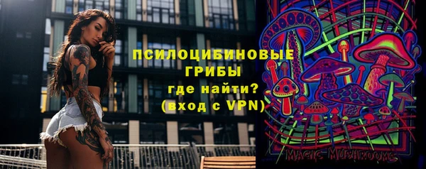 PSILOCYBIN Заводоуковск