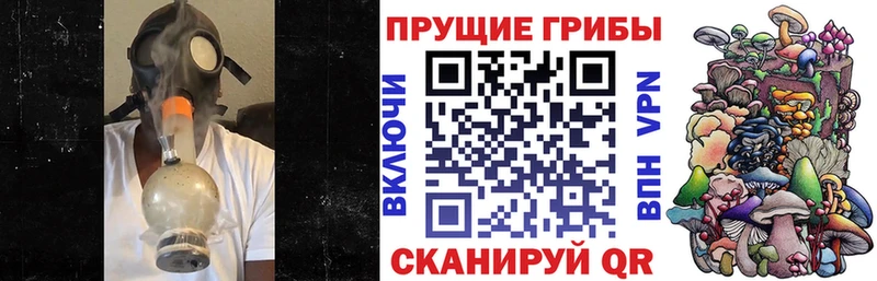 Галлюциногенные грибы мухоморы  Лодейное Поле 